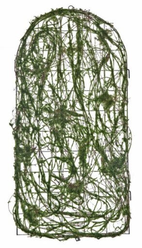 Moss Twig Arched Wall Product Image
